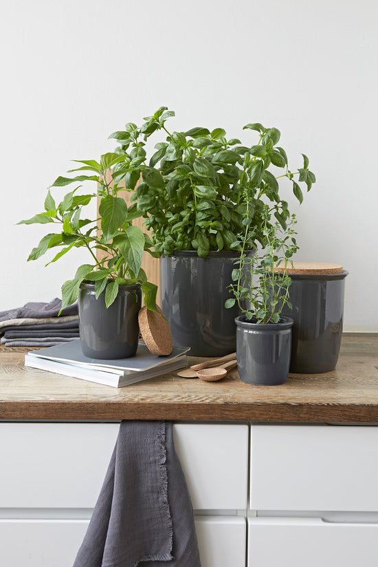 K1224 K1225 K1226 K1227 K1228 2