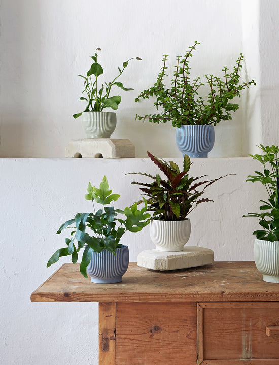 K1253 K1254 K1255 K1256 K1257